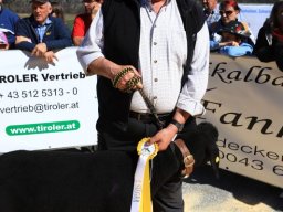 2019_ausstellung polling_345